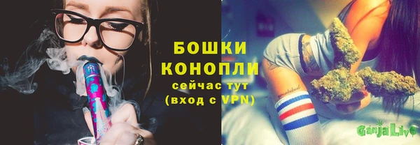 трава Новодвинск