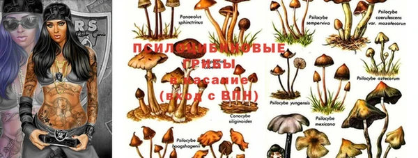 трава Новодвинск