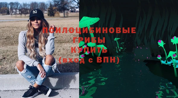 трава Новодвинск