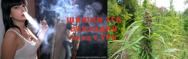 гашик Бикин