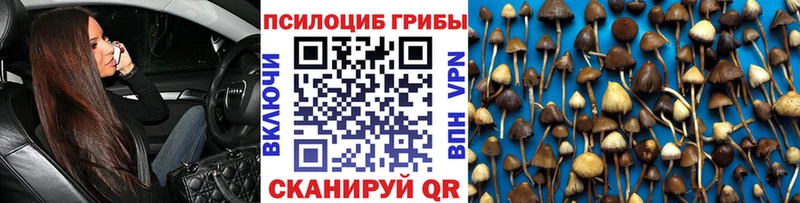 Галлюциногенные грибы MAGIC MUSHROOMS  маркетплейс формула  Саранск 